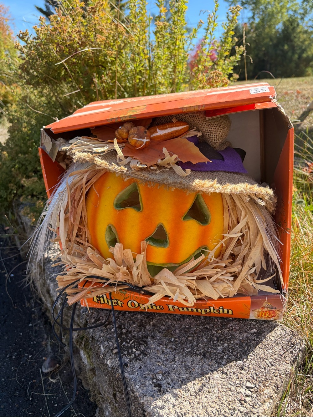 Halloween Pumpkin Scarecrow Kids Costume Hat - Orange
